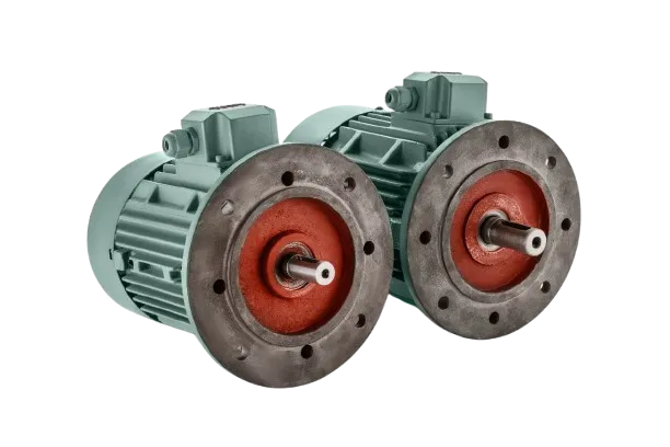 Aeronox Induction Motor Manufacturer in New Delhi